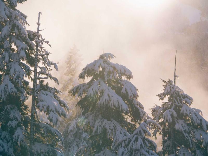 Finanças a Dois: Cultivando a Paz nas Contas e na Relação