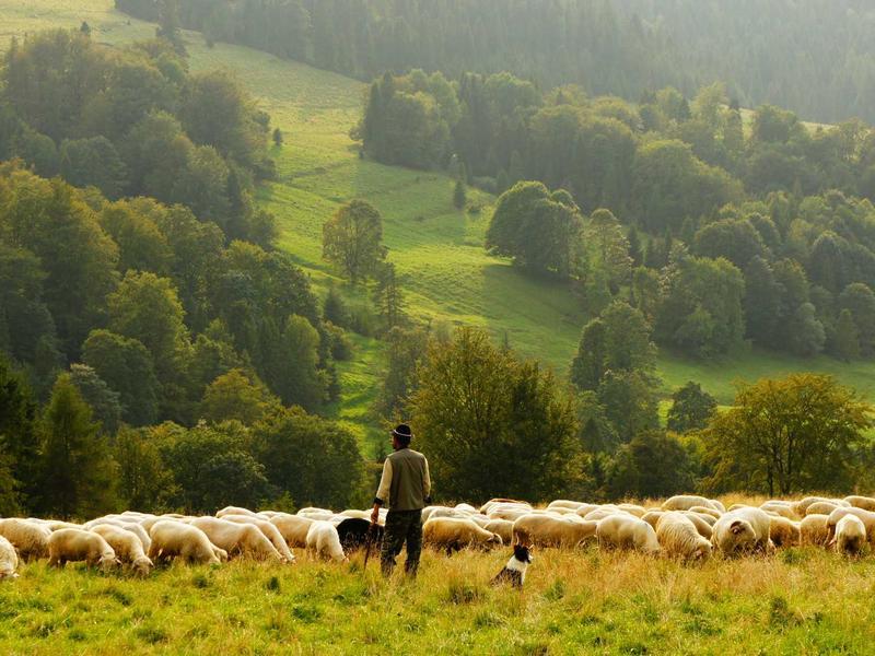 Planejando Viagens com Clareza: Menos Abas, Mais Conexão
